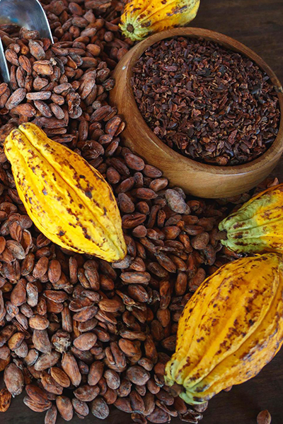 cocoa